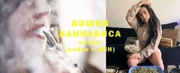 твердый Богородск