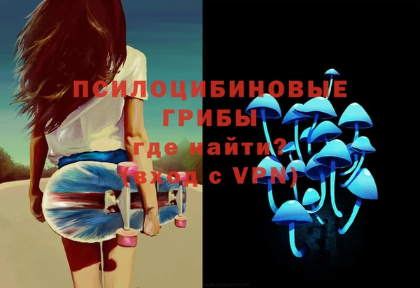 твердый Богородск