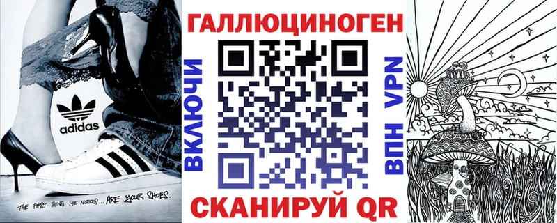 Псилоцибиновые грибы Psilocybe Псков