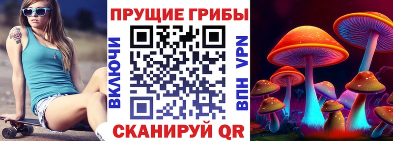Псилоцибиновые грибы прущие грибы  Псков 